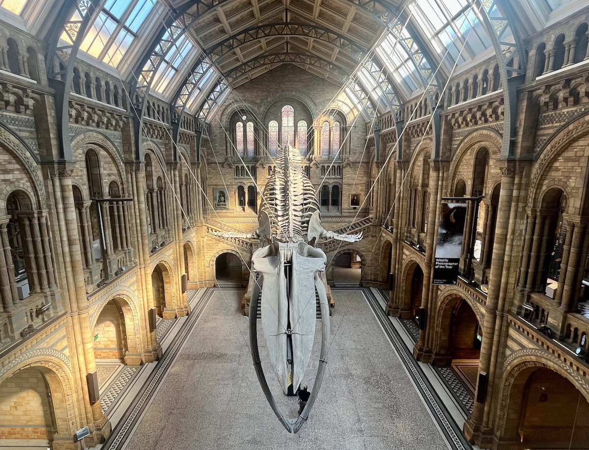 The Secrets And Stories Of The Natural History Museum - Living